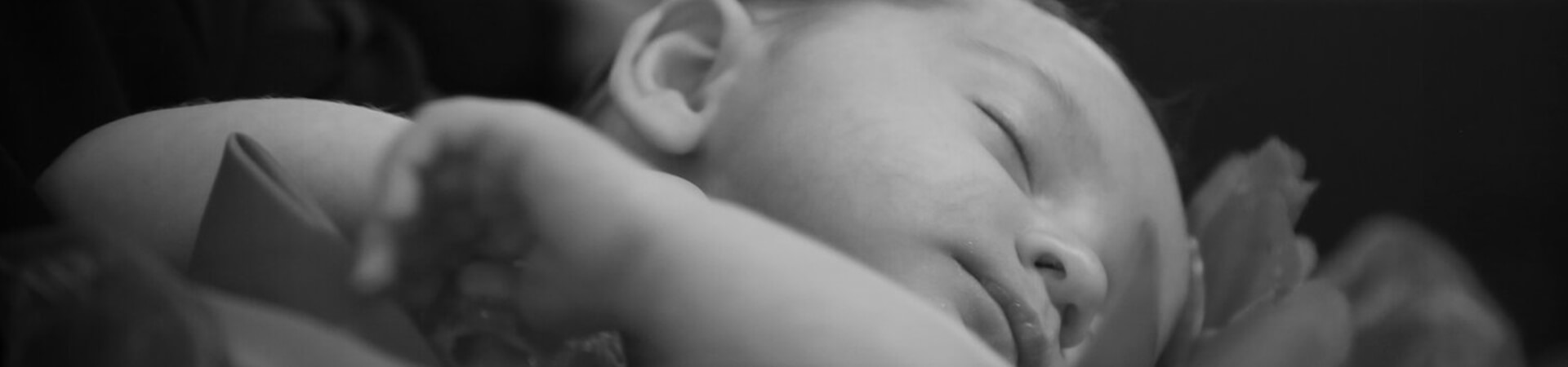 Photographie Chantal Chartrand