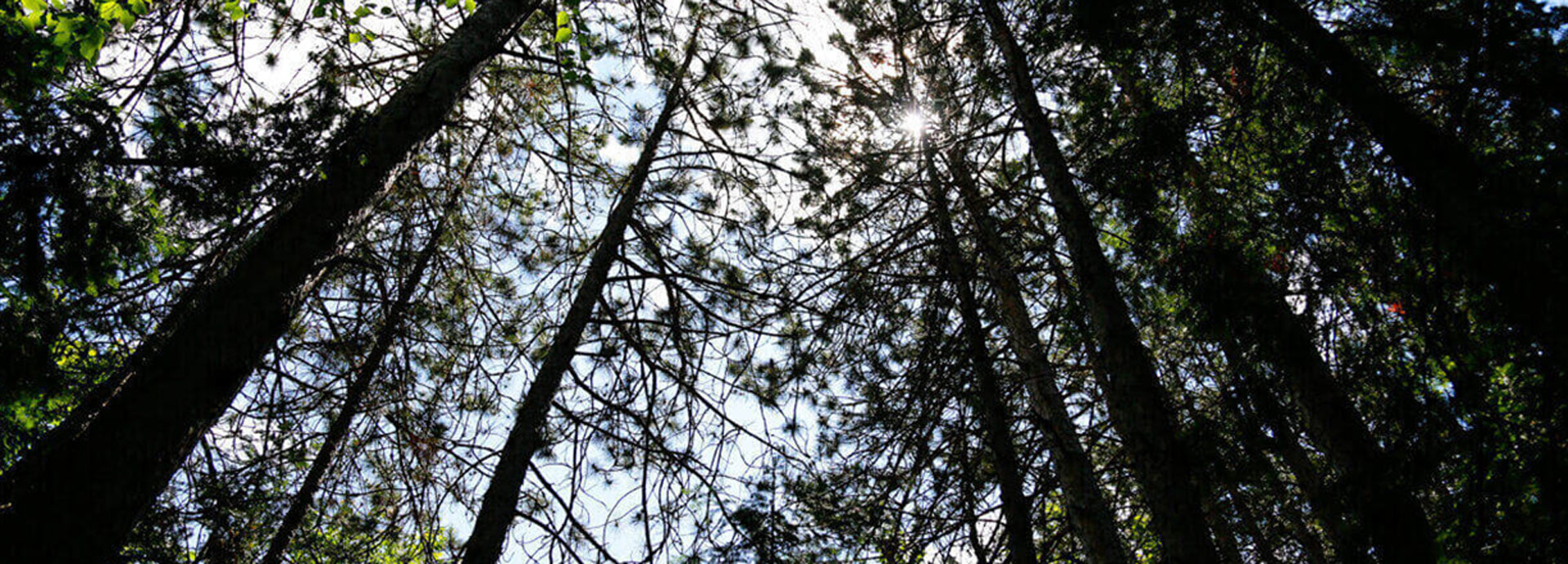 Photographie Chantal Chartrand