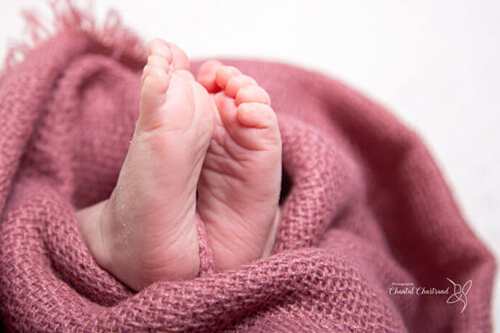 Photographie Chantal Chartrand