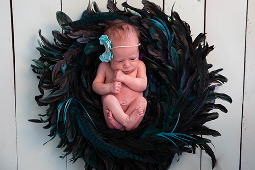 Photographie Chantal Chartrand